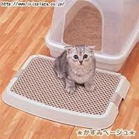 Cat Litter Mat 