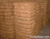 Coir Fiber