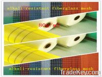 Fiberglass Mesh