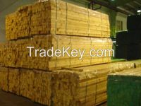 Taeda and EIlliotis Sawn Lumber