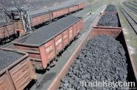 Calcined Anthracite Coal | Carbon Additive | Matallurical Coal | Steam Coal | Hardwood Charcoal | Coke | BBQ Coal | 
