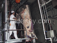 Cattle Abattoir|(slaughter)Half Carcass Band Splitting Saw