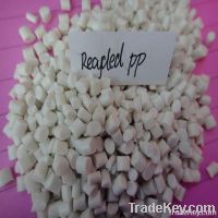 Pastic Plypropylene Mterial PP