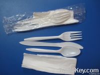 plastic tableware kit