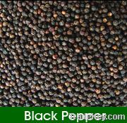 Black pepper