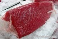 Fresh Tuna