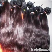 Eclectic Human Hair Extensions