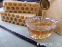 Honey Handmade Soap