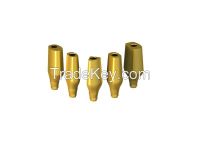 CE Approved Dental Titanium Anatomic Abutment (Milling Abutment)