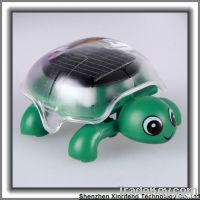 Kid toys solar tortoise