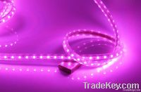 LED Strip Light, High Quality long life span waterproof