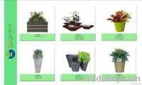 Zinc planters