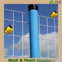 Pvc Coated Euro Fence/Euro Mesh Fence
