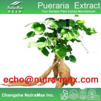 Pueraria (Kudzu Root) Extract
