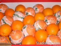 fresh oranges