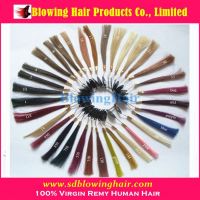 Our Color Chart for Human Hair products