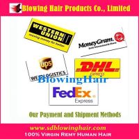 Shipment and Payment methods for human hair