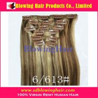 2013 Wholesale Clips On Hair Extensions