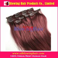 Wholesale top grade clip in hair extensions