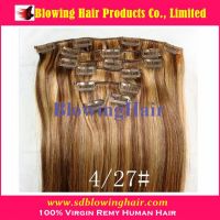 Top Quality Full Head Clip In Hair Extensions Wholesale