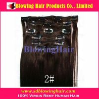 Best quality clip in hair extensions on sale