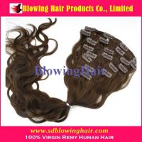 Manageable and Durable Brazilian Virgin Clip In Hair Extension
