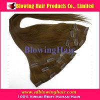 Charming Hair Best quality Clip In Hair Extension