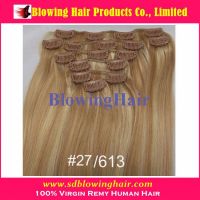 Hot beauty supply quality clip in hair extension