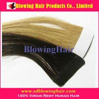Wholesale Price Tape Hair Extension