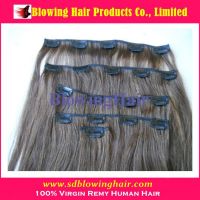 2013 fashional top quality clip in hair extensions