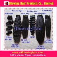 Human Hair Extensions and Wefts Vendor