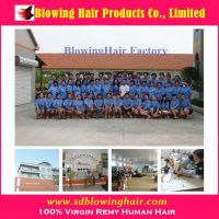 2013 Best quality brazilian hair supplier