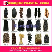 Human Hair Extensions and Lace Closures (Main Products)
