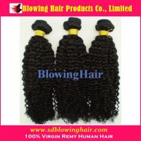 Fashionable Mongolian Kinky Curl Hair