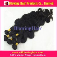 wholesale pure virgin Mongolian hair curly wavy