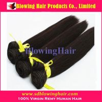 2013 Hot Sale High Quality Mongolian Hair