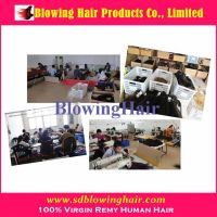 2013 Human Hair Extensions (Factory Wholesale)
