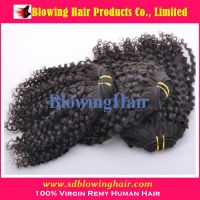 Wholesale Mongolian Human Hair (Curly Hair)