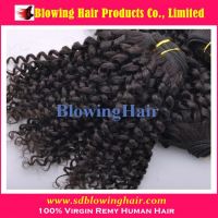 Wholesale kinky curly virgin mongolian hair