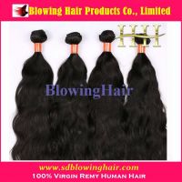 Cheap Virgin Cambodian Hair Weave Wholesale