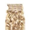 Wavy Clip in on Hair Extension