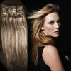 Clip in Hair Extension Clips remy Hair extensions