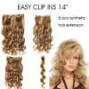 Synthetic Hair Extension/Clip ins
