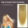 Best selling cheap and high quality russian hair extension