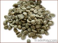  Export Green Coffee Beans | Green Coffee Bean Importer | Green Coffee Beans Buyer | Buy Green Coffee Beans | Green Coffee Bean Wholesaler | Green Coffee Bean Manufacturer | Best Green Coffee Bean Exporter | Low Price Green Coffee Beans | Best Quality Gre