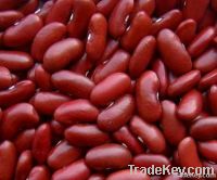 Kidney Beans (White | Red | Light Speckled | Black | Purple Speckled)