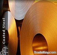 Hop-dip Galvanized and Color Steel