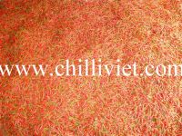 https://www.tradekey.com/product_view/Frozen-Chilli-4578191.html