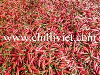 https://ar.tradekey.com/product_view/Fresh-Chilli-4580225.html