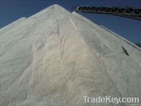salt